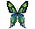 Free Green Butterfly Vector Image