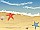 Summer Beach Background Design with Starfish, Shells