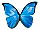 Vector Butterfly Illustrator