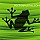 Vector Frog Silhouette on Green Background