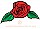 Rose Flower Vector Image