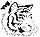 Vector Bengal Tiger Image