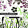 Vector Foliage-Plants Photoshop and GIMP Brushes